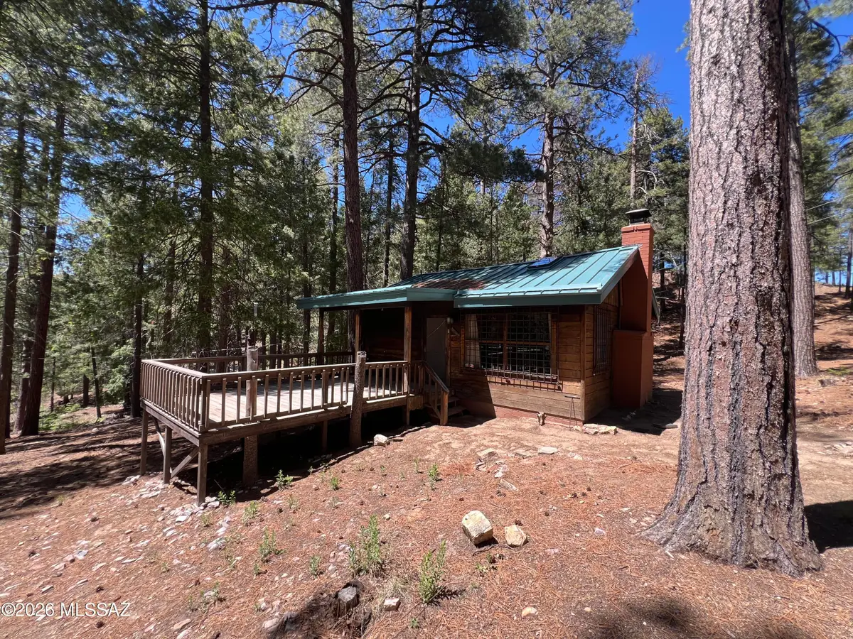 11914 Soldiers Camp, Mount Lemmon, AZ 85619 - #1