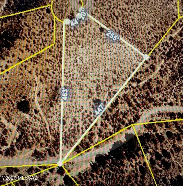 1101 Tizimin, Rio Rico, AZ 85648 - #1