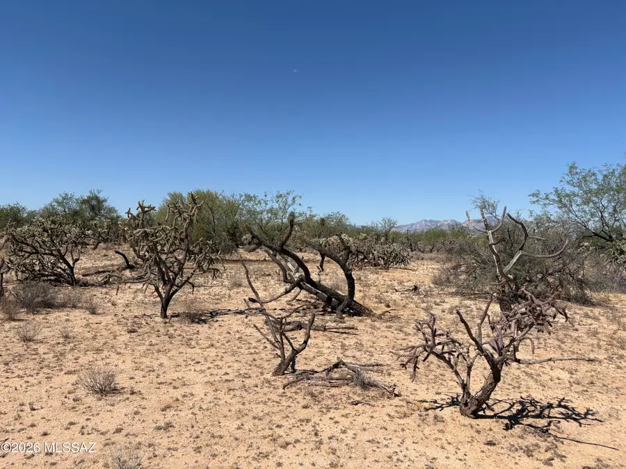 15701 W Guy, Tucson, AZ 85736 - #3