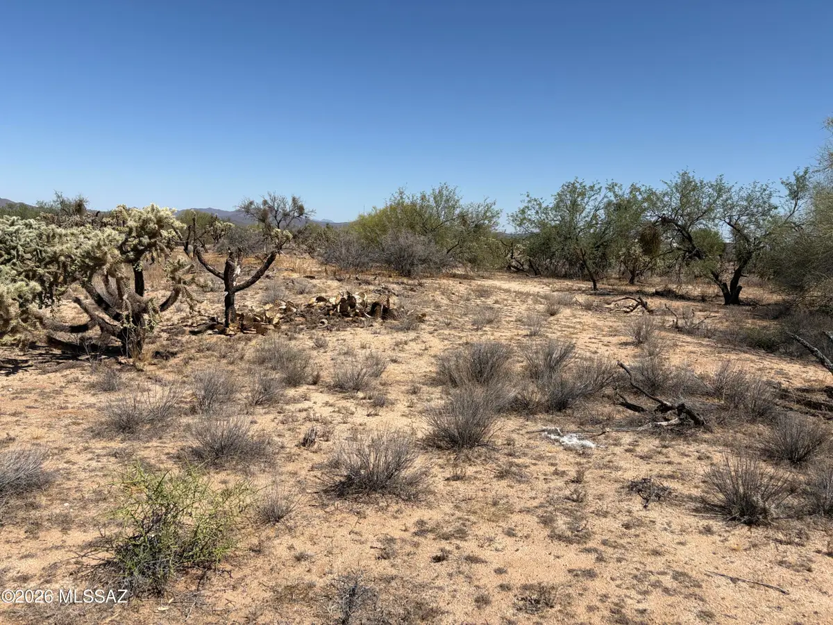 15670 W Many Horses, Tucson, AZ 85736 - #1