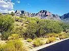 Address Withheld By Seller, Tucson, AZ 85737 - #3