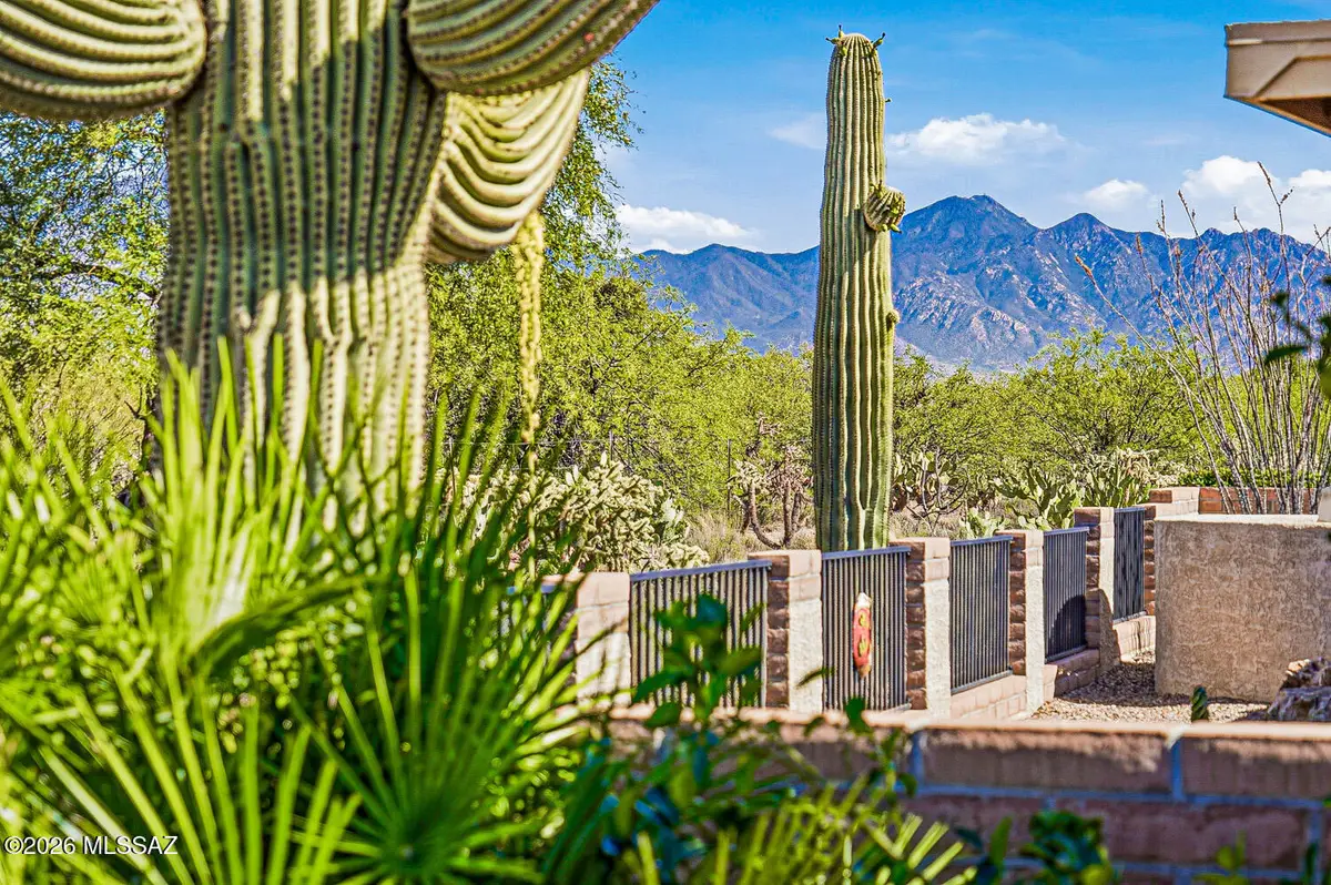 972 N Rams Head, Green Valley, AZ 85614 - #1
