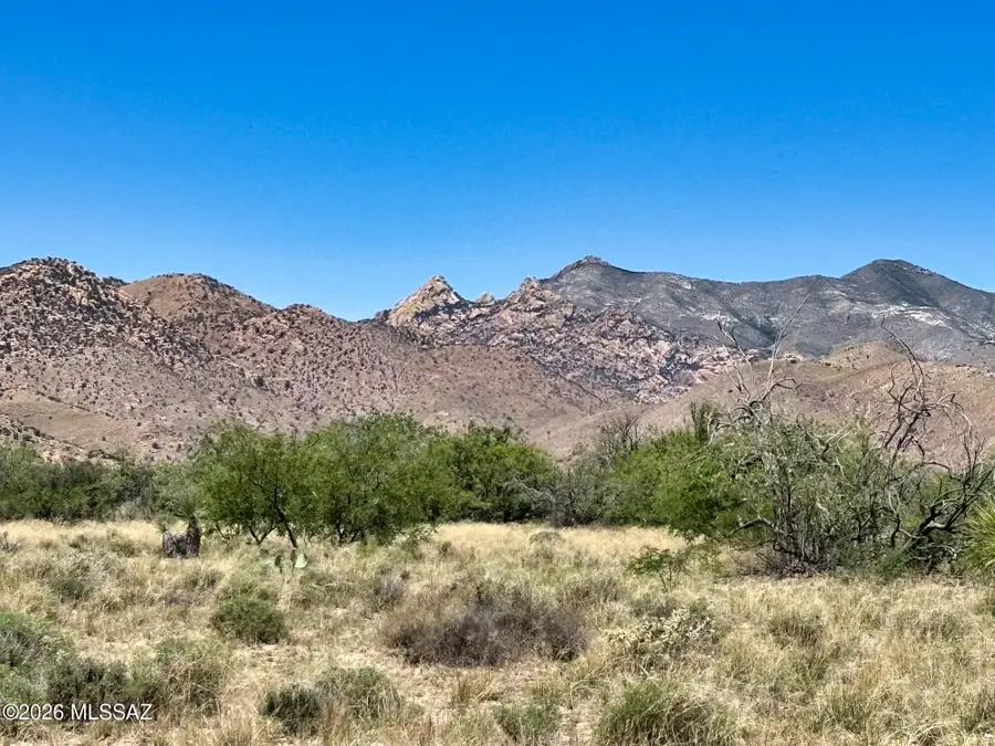 2 lots W Zinnia, Pearce, AZ 85625 - #2