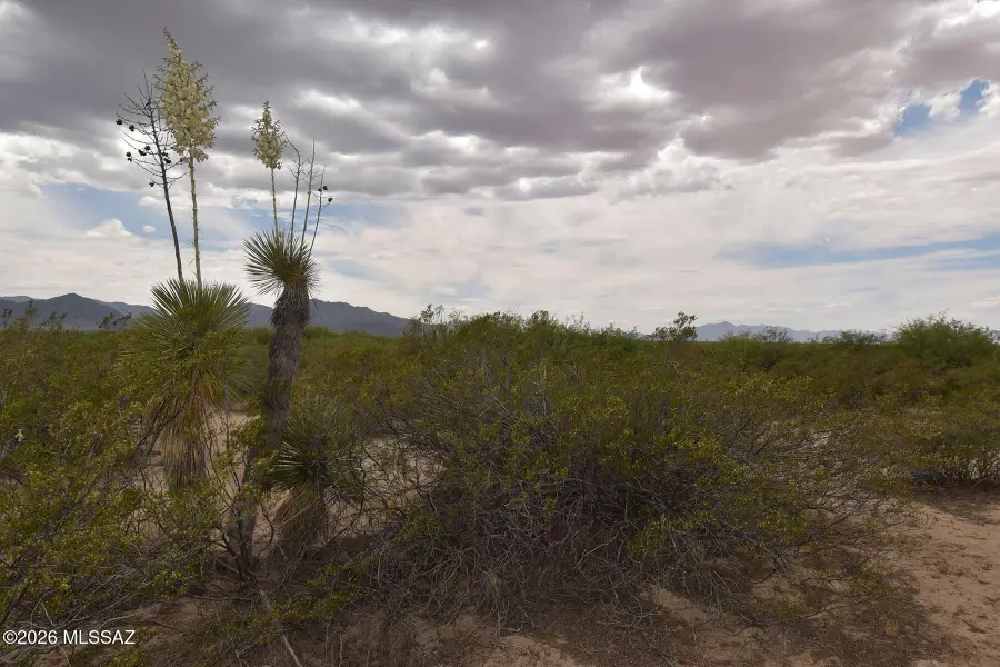 40.7 AC N Parker, San Simon, AZ 85632 - #3