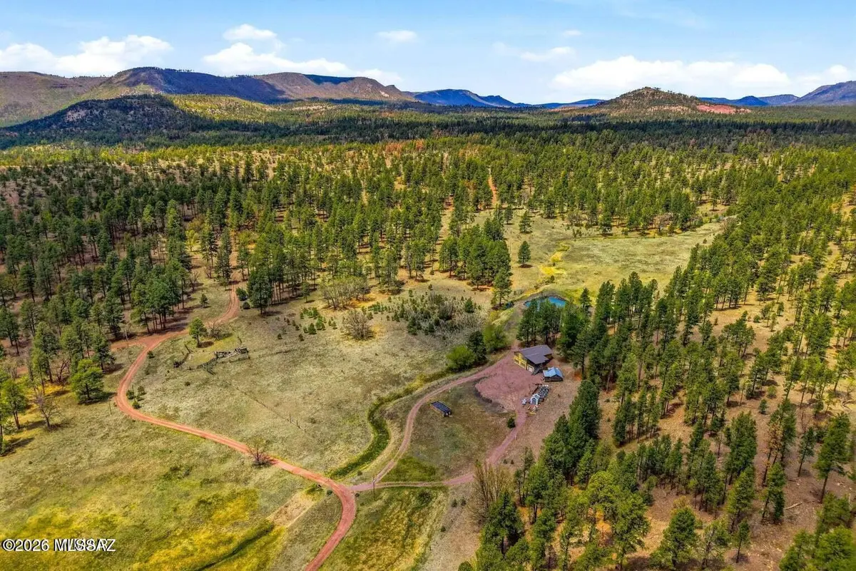 28 County Road 2310, Alpine, AZ 85920 - #1