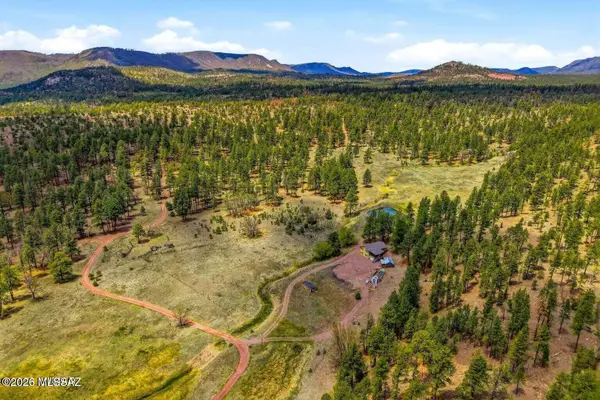 28 County Road 2310, Alpine, AZ 85920
