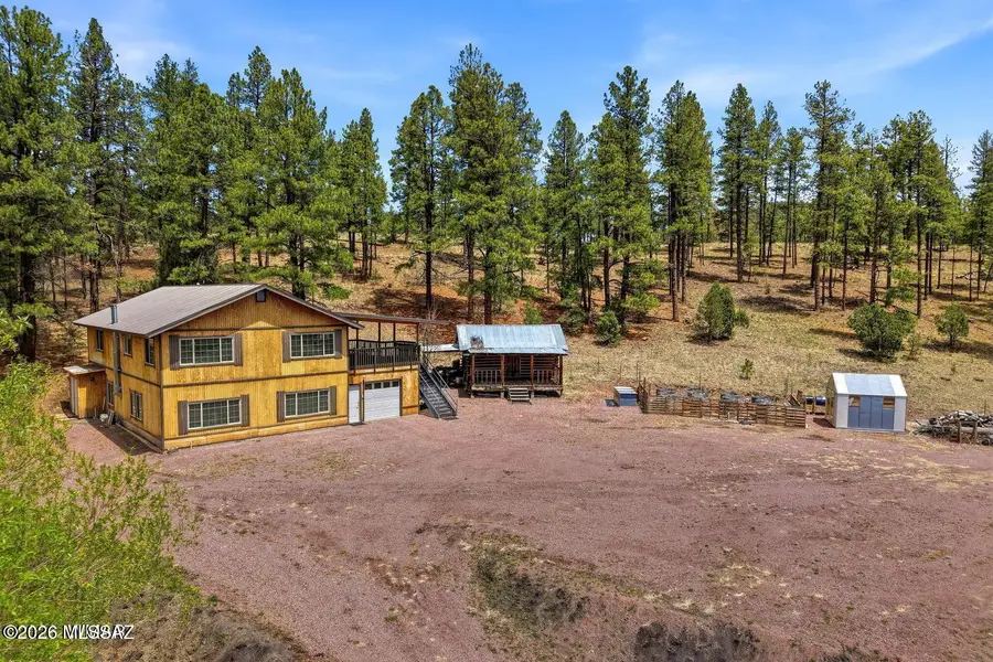 28 County Road 2310, Alpine, AZ 85920 - #2