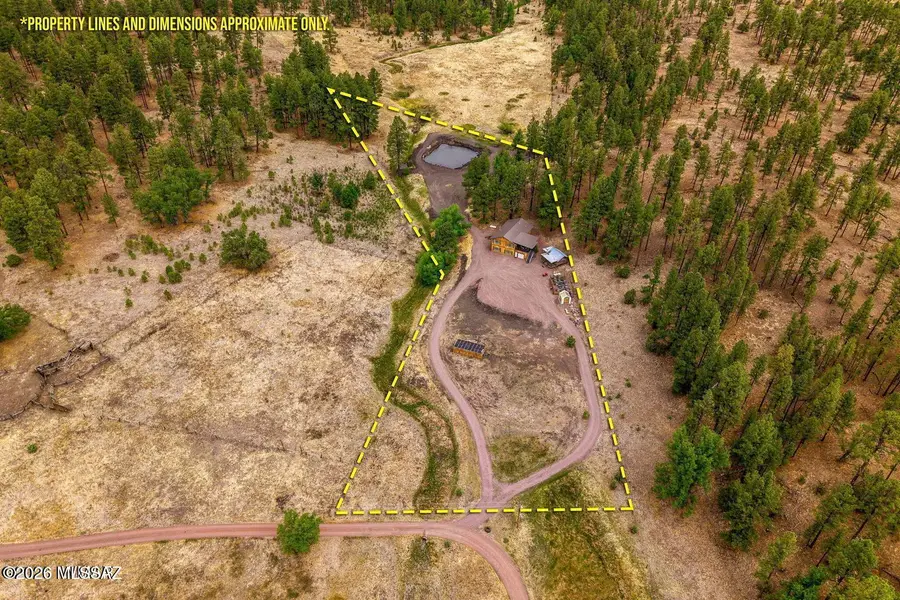 28 County Road 2310, Alpine, AZ 85920 - #3