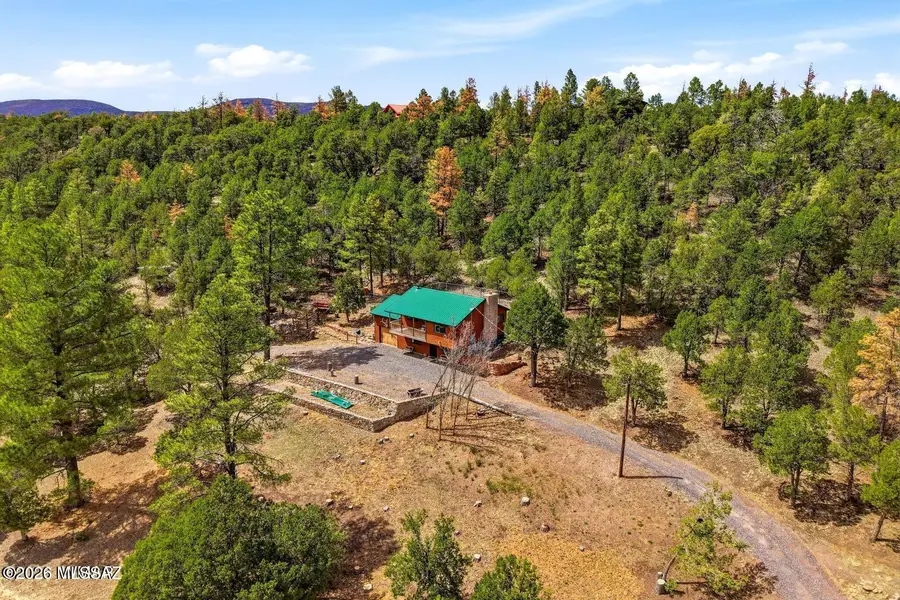 169 County Road 2108, Nutrioso, AZ 85932 - #2