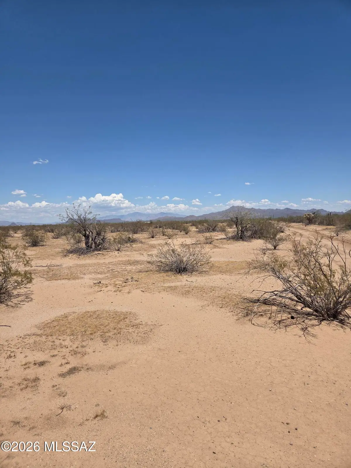 3255 N Little Cody, Marana, AZ 85653 - #1