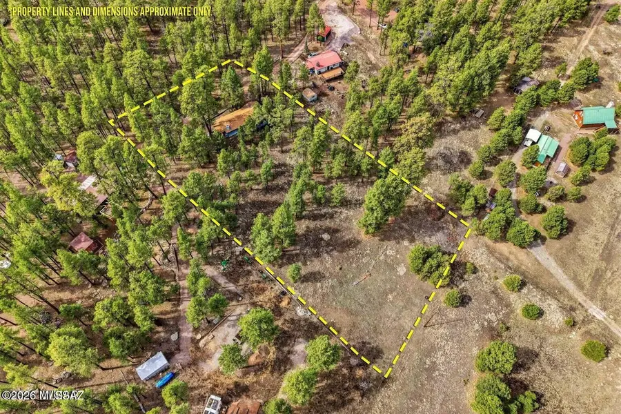 6 County Road 2148, Alpine, AZ 85920 - #2
