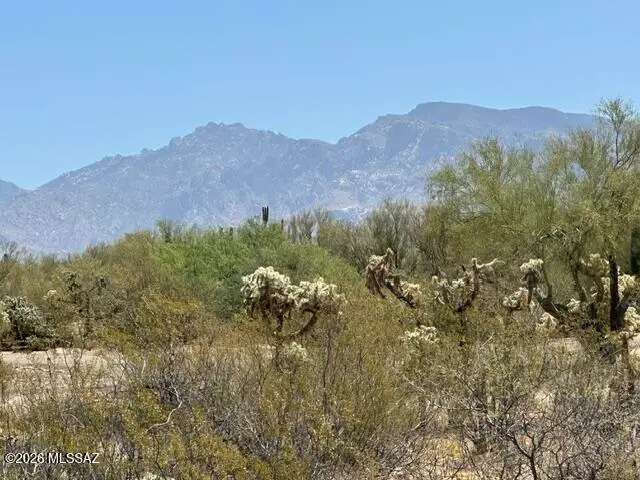 10781 N Camino De Oeste, Tucson, AZ 85742 - #2