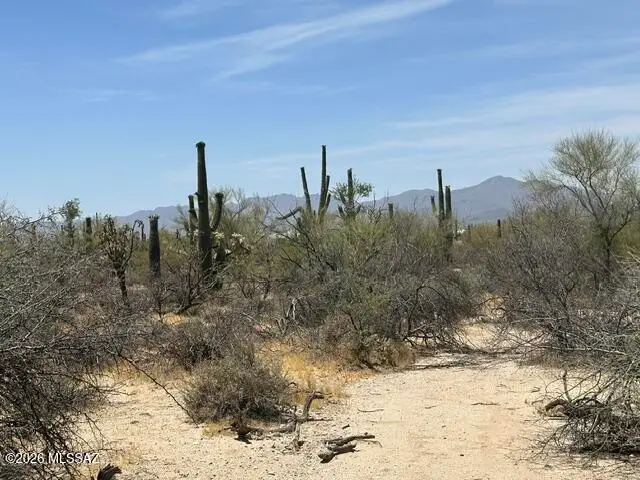 10781 N Camino De Oeste, Tucson, AZ 85742 - #3
