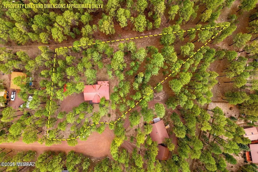 4 County Road 2089, Alpine, AZ 85920 - #3