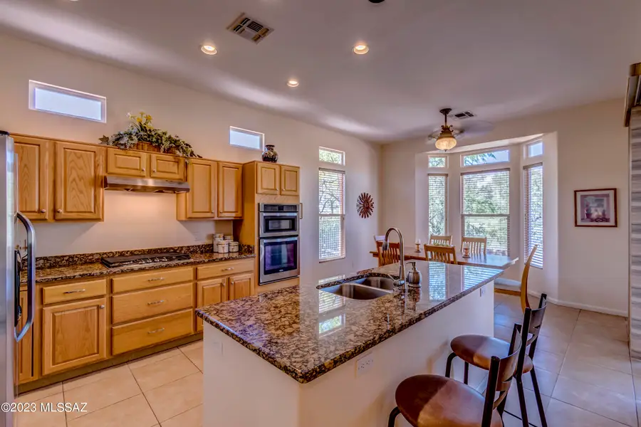 5058 W Desert Chicory, Marana, AZ 85658 - #3