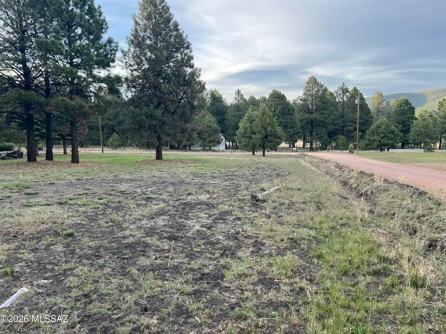 18 County Rd 2063, Alpine, AZ 85920 - #2