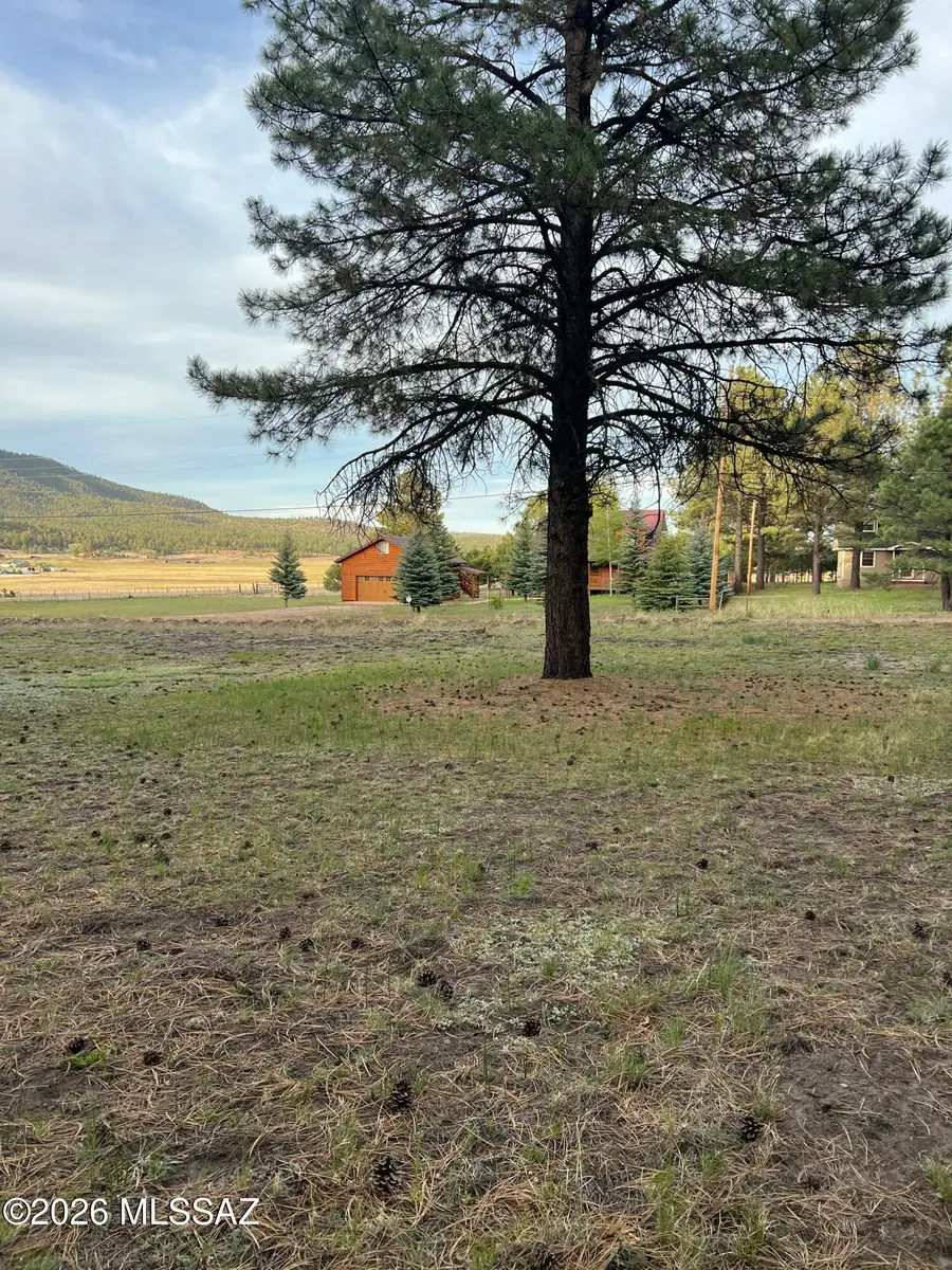 18 County Rd 2063, Alpine, AZ 85920 - #3
