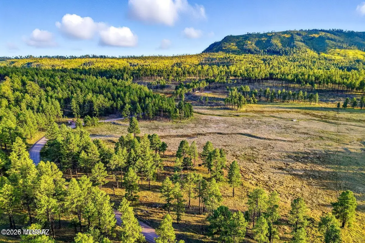 1A Forest Road, Alpine, AZ 85920 - #1