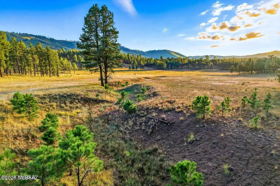 1A Forest Road, Alpine, AZ 85920 - #3
