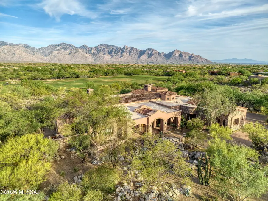 14262 N Giant Saguaro, Oro Valley, AZ 85755 - #3