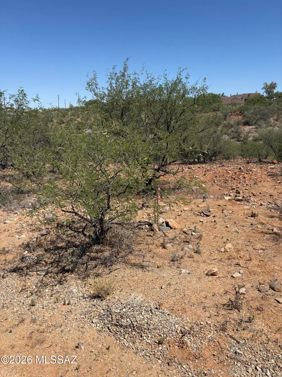 1665 Vereda Neblina, Rio Rico, AZ 85648 - #2