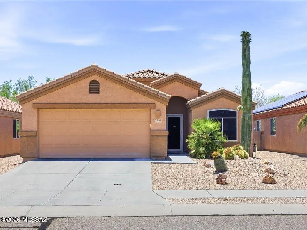 7901 N Chainfruit Cholla, Tucson, AZ 85741 - #1