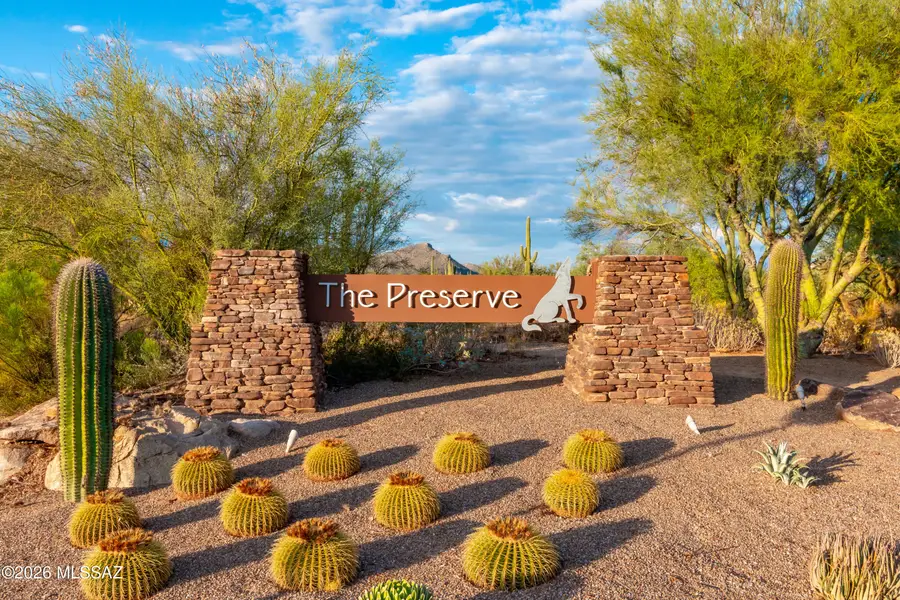 12081 N Golden Mirror, Marana, AZ 85658 - #2