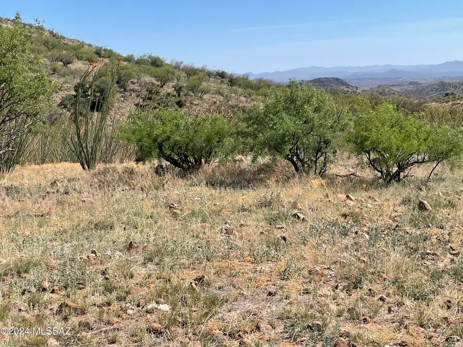 000 Ash Canyon, Tubac, AZ 85646 - #2