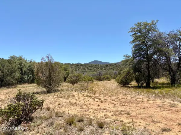 64 Forest Service 5539, Patagonia, AZ 85624