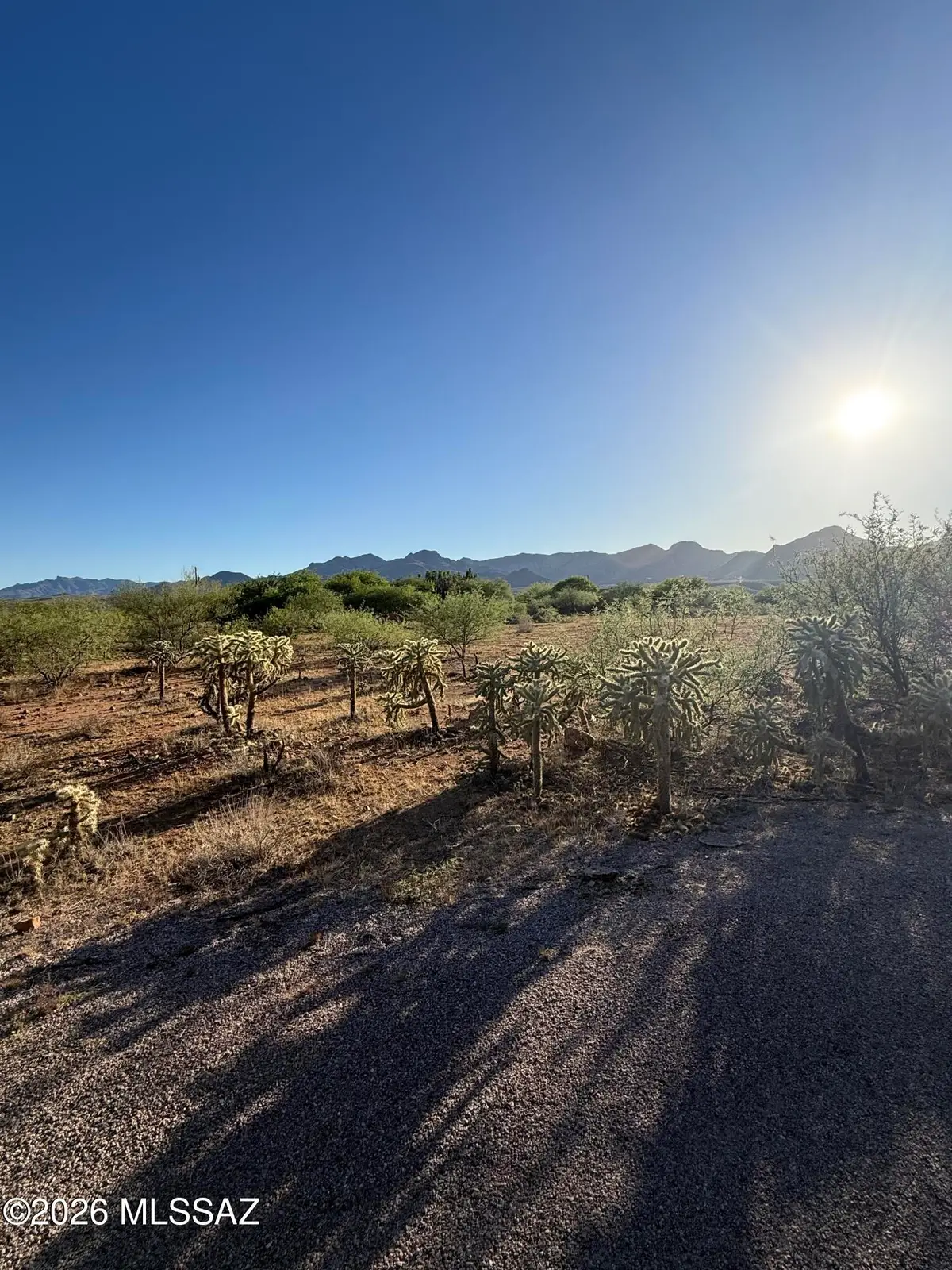 1776 Elder, Rio Rico, AZ 85648 - #1