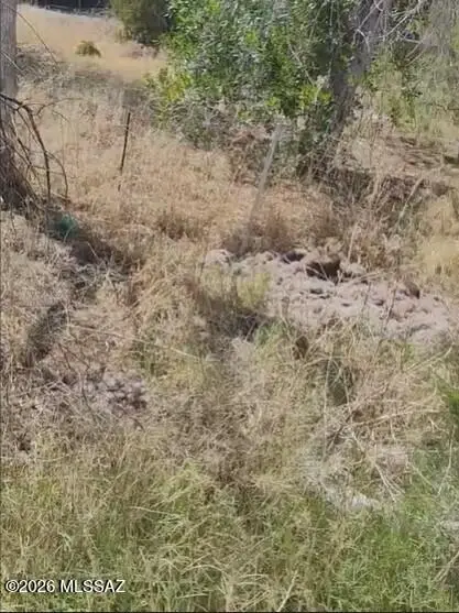 211 N 4th, Sierra Vista, AZ 85635 - #3