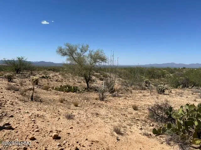 13531 Eola, Tucson, AZ 85736 - #3