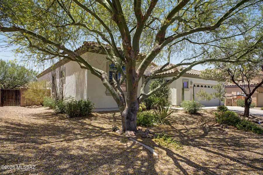 11155 W Gallinule, Marana, AZ 85653 - #2