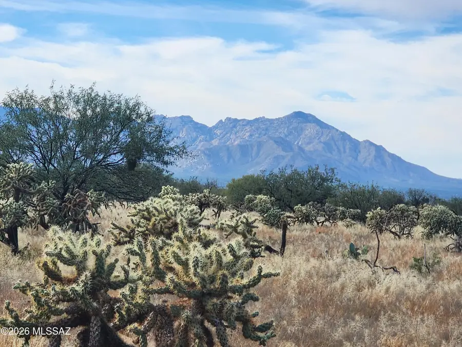15102 S Muldoon, Tucson, AZ 85736 - #2