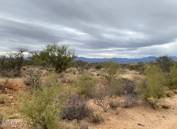 14921 W Pyle, Tucson, AZ 85736 - #2