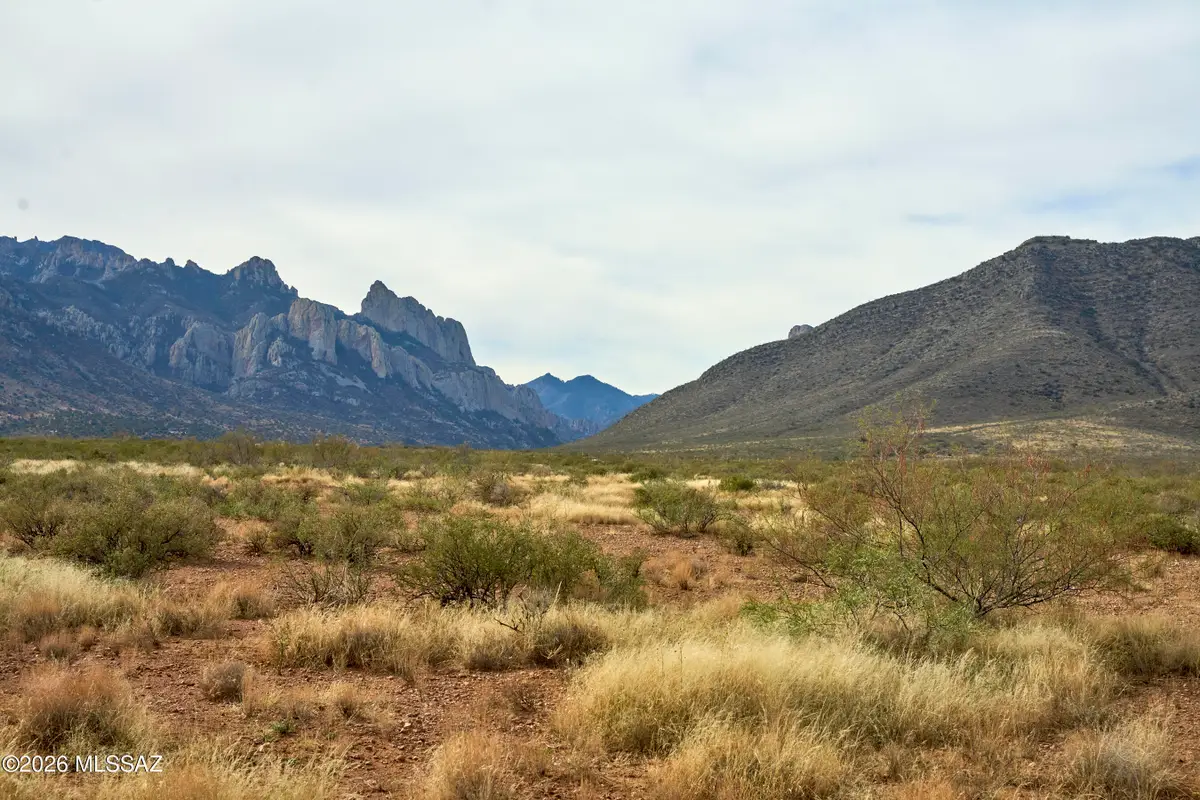 TBD W Foothills Rd., Portal, AZ 85632 - #1