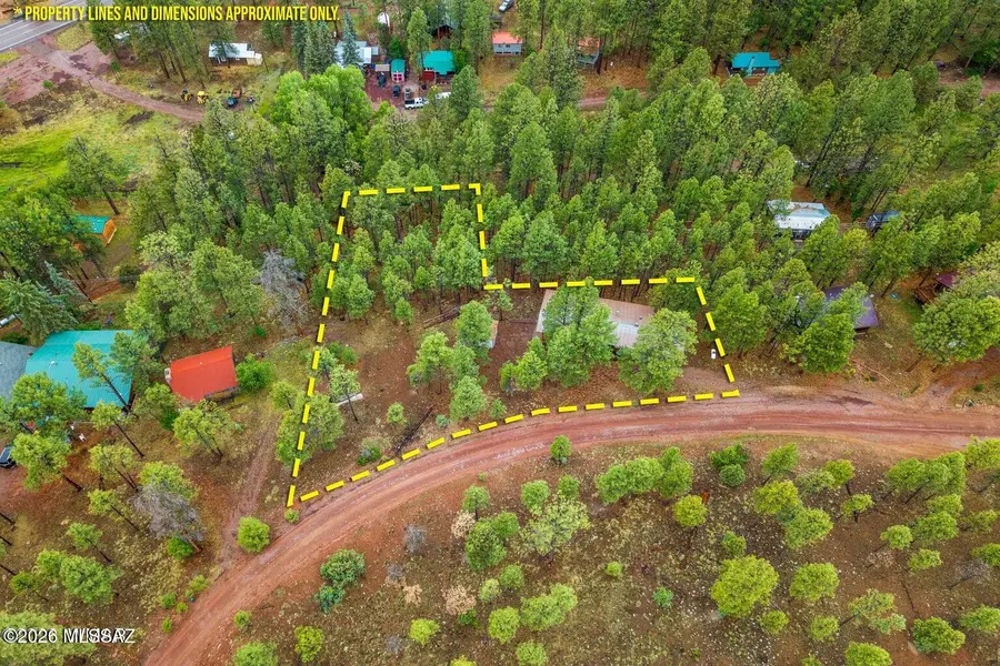 29 County Road 2058, Alpine, AZ 85920 - #3