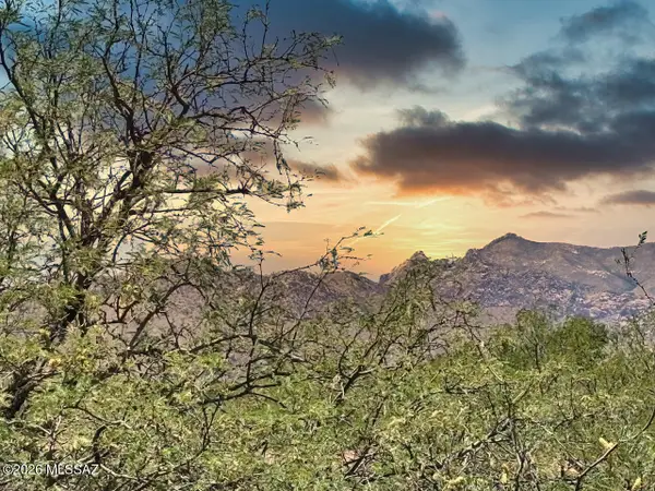 4.65 Acres Central Rd And Sunset Trl, Pearce, AZ 85625