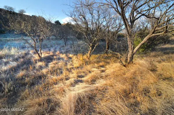 Lot  D2 Stevens Canyon, Sonoita, AZ 85637