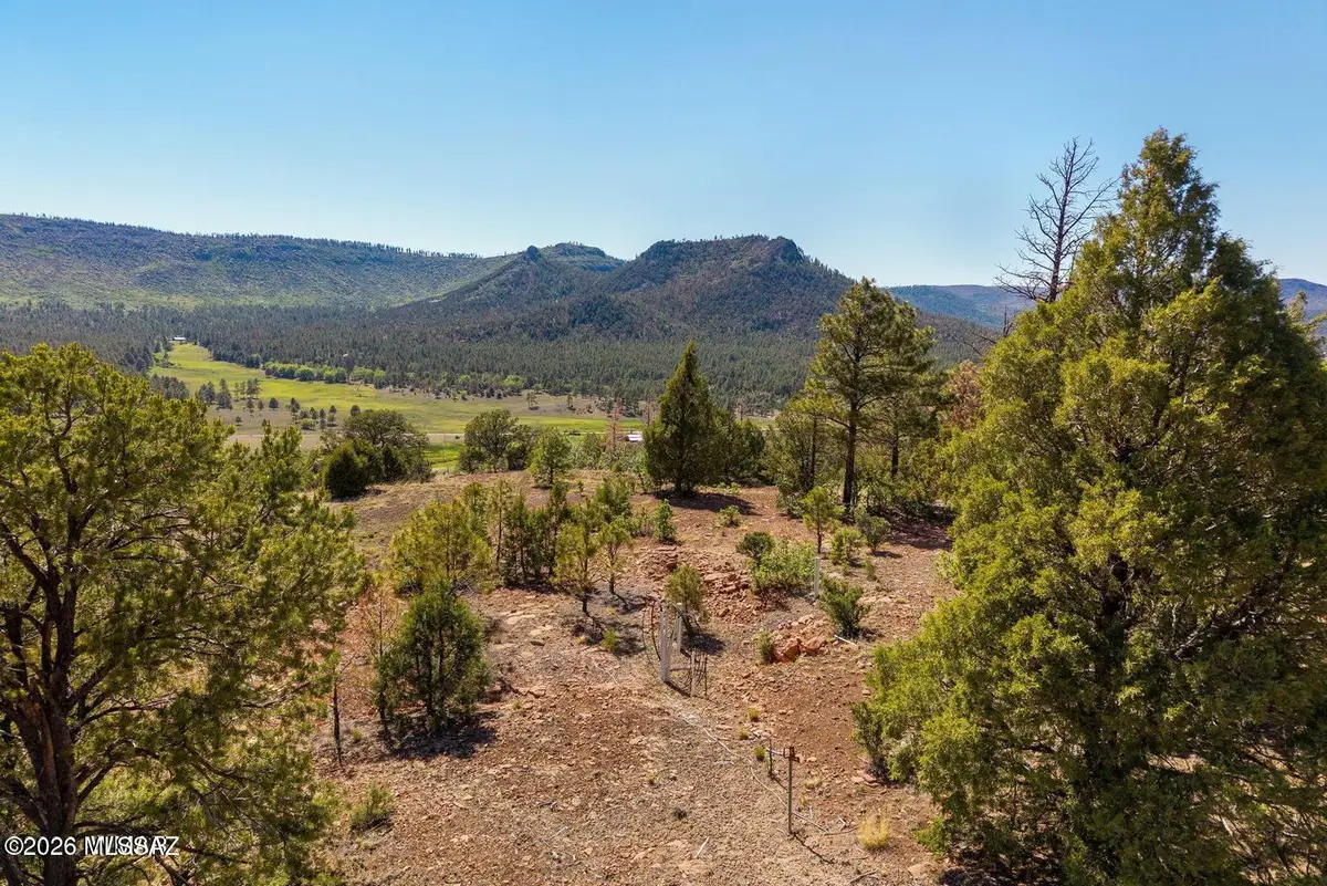 N2280, Nutrioso, AZ 85932 - #1
