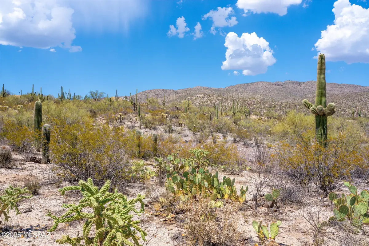 13701 E Placita Nido Del Aguila, Tucson, AZ 85749 - #1