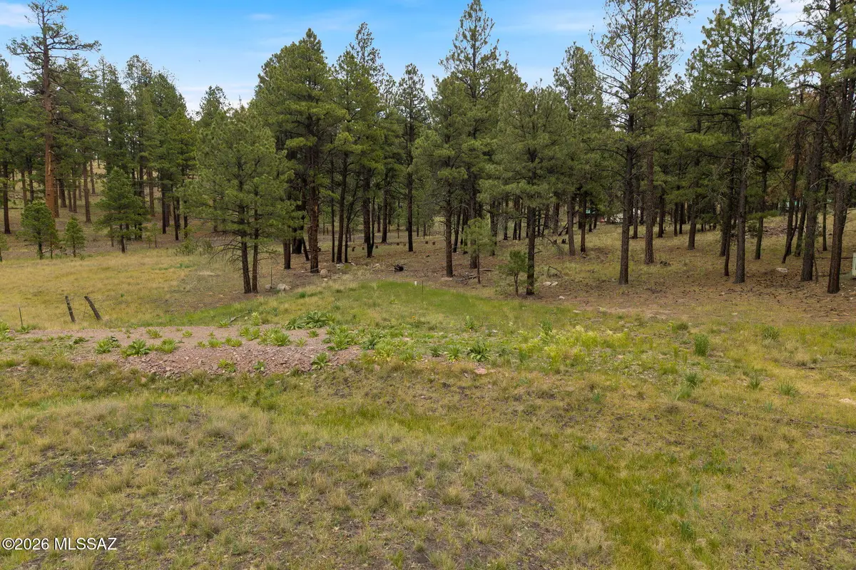 TBD County Rd 2121, Alpine, AZ 85920 - #1