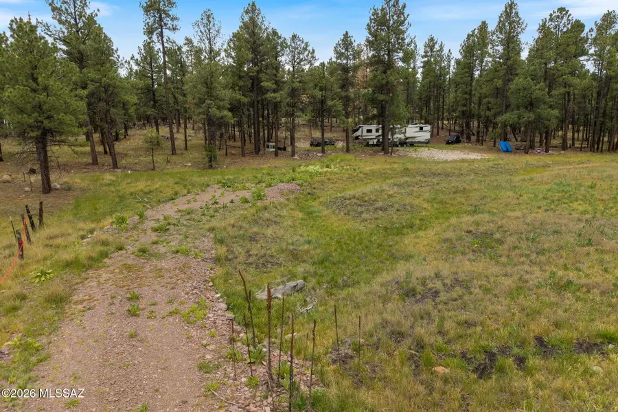 TBD County Rd 2121, Alpine, AZ 85920 - #2