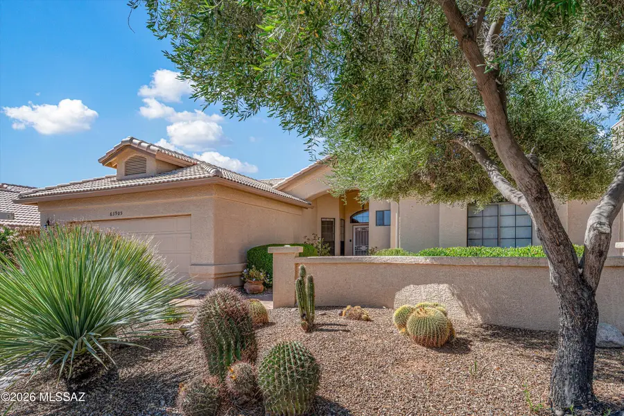 63905 E Greenbelt, Saddlebrooke, AZ 85739 - #2
