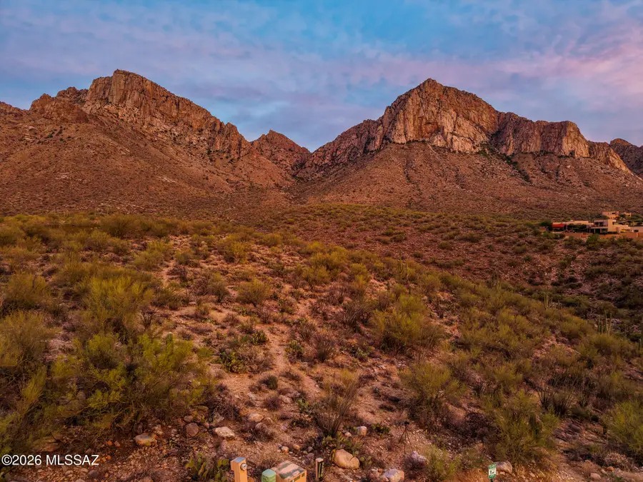 10130 N Cliff Dweller, Oro Valley, AZ 85737 - #3