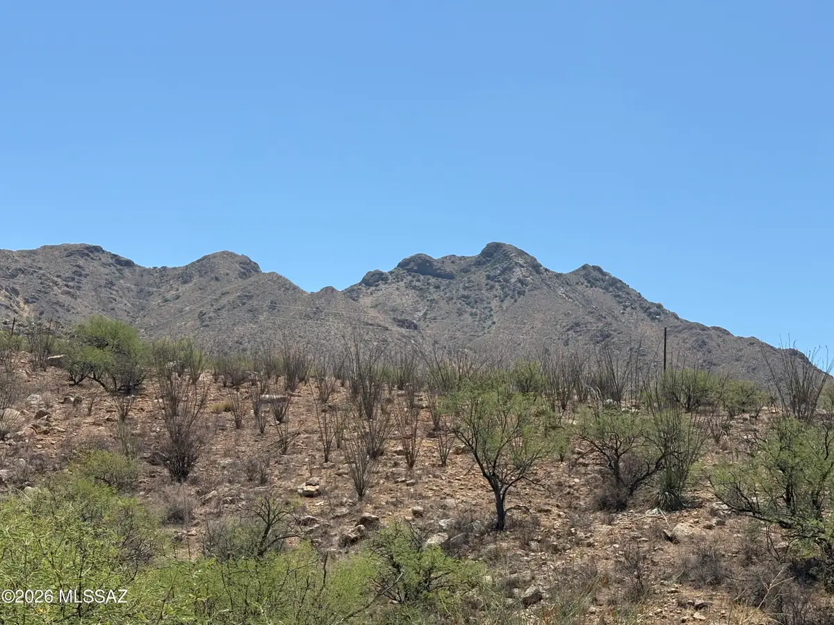 1647 Camino Galapago, Rio Rico, AZ 85648 - #1