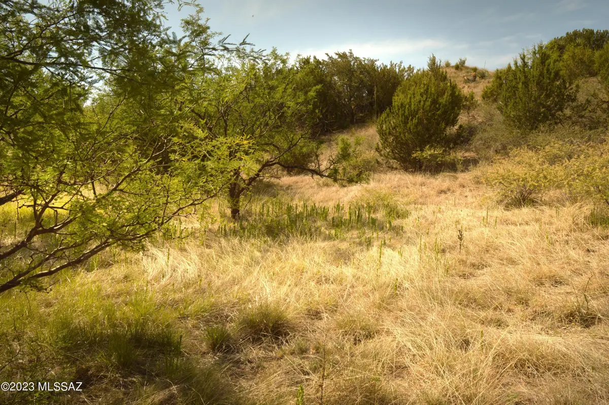 142 Tanglehead, Patagonia, AZ 85624 - #1