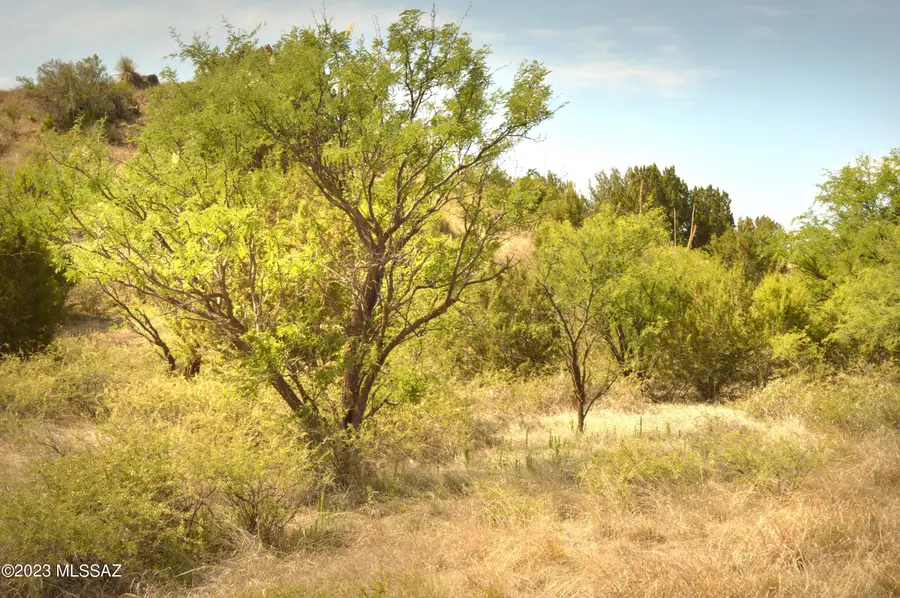 142 Tanglehead, Patagonia, AZ 85624 - #2