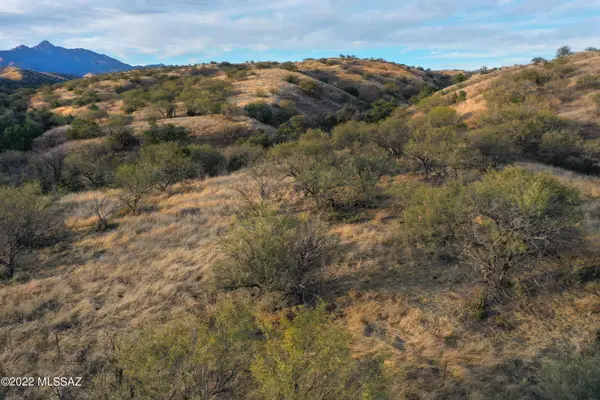 832 Side Oats, Patagonia, AZ 85624