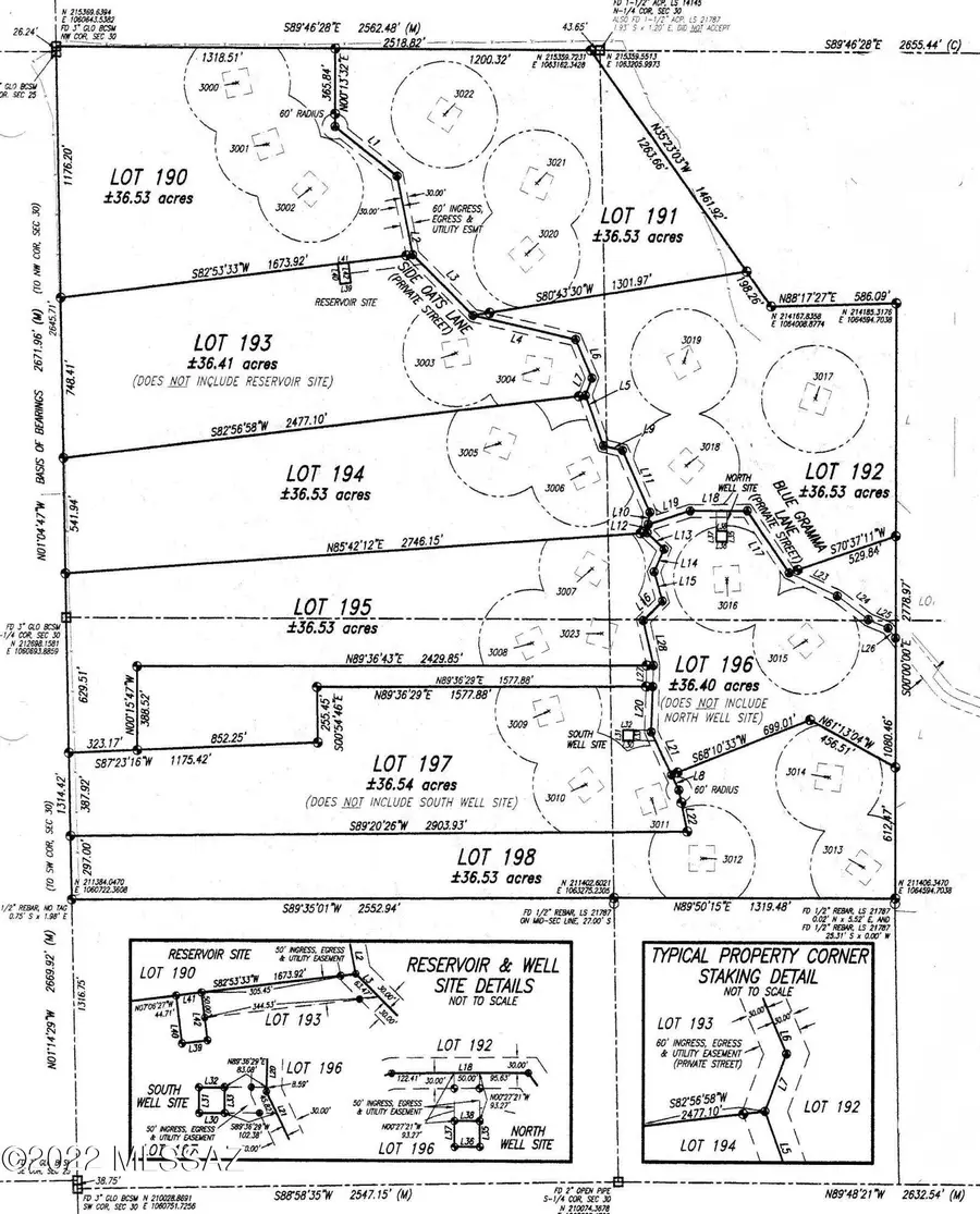 832 Side Oats, Patagonia, AZ 85624 - #2